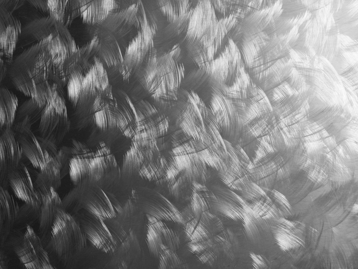 texture acier brossé